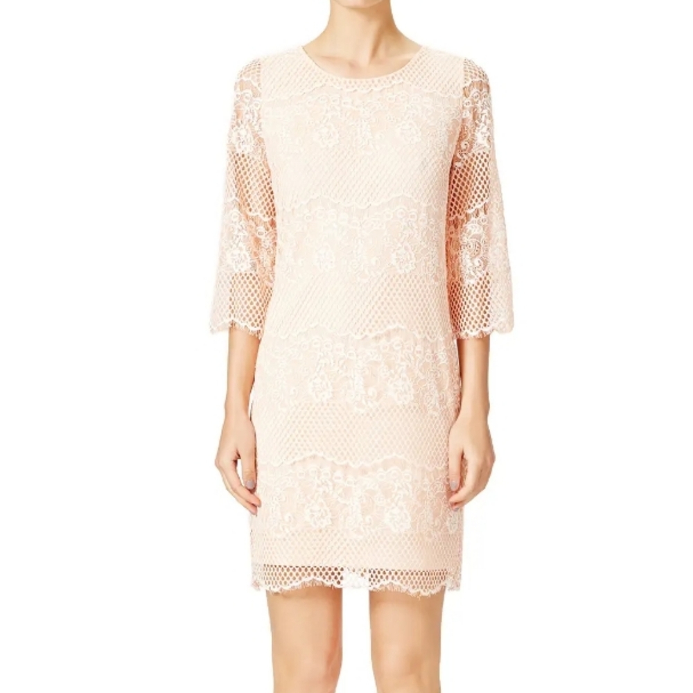 Erin Fetherston Lace Shift Dress Size 10
